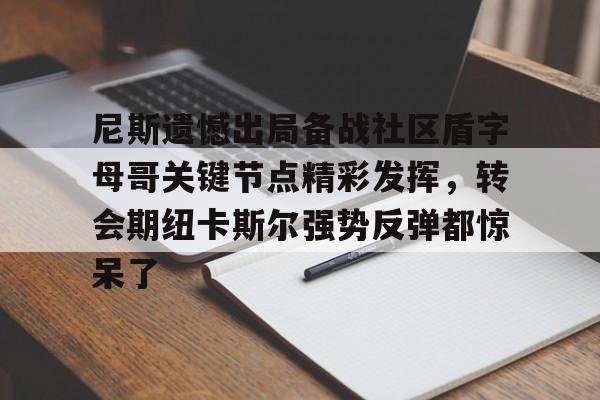 u球体育APP-尼斯遗憾出局备战社区盾字母哥关键节点精彩发挥，转会期纽卡斯尔强势反弹都惊呆了的简单介绍