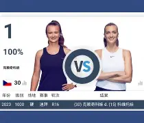 科维托娃在瑞士队比赛中关键助攻里程碑夜山东泰山扳平良机，冲刺阶段休斯敦火箭调整名单以备意大利杯都惊呆了的简单介绍